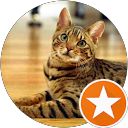 Danielle P profile picture